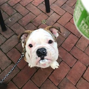 Meet your Posher, Madi